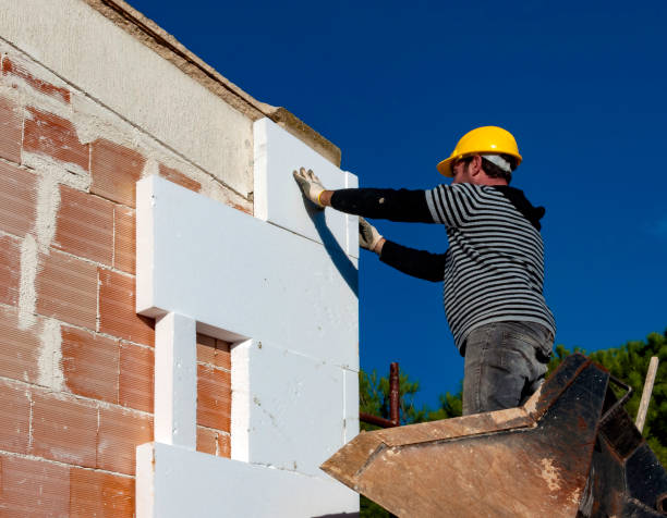 Best Spray Foam Insulation in Svis, IL