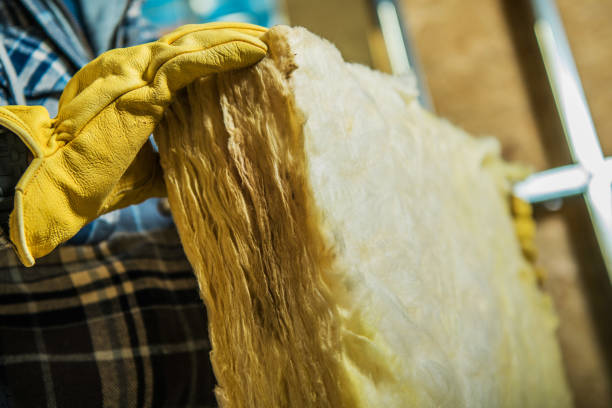 Best Spray Foam Insulation in Svis, IL