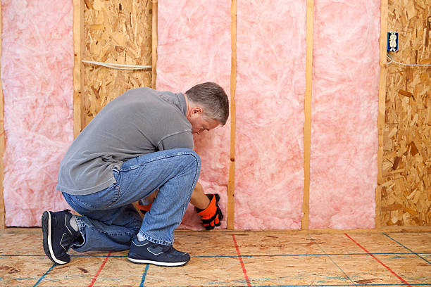 Best Insulation Maintenance and Repair in Svis, IL