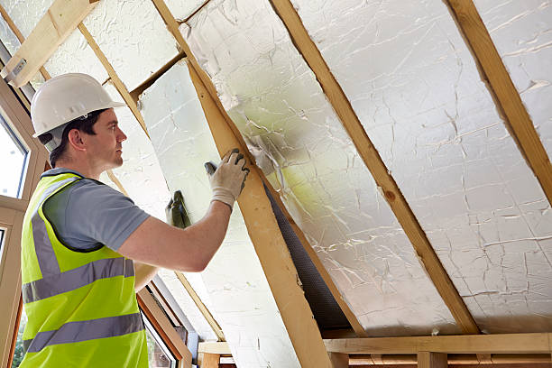 Best Eco-Friendly Insulation in Svis, IL