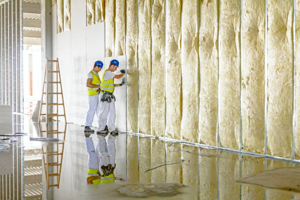 Best Blown-in Insulation in Svis, IL